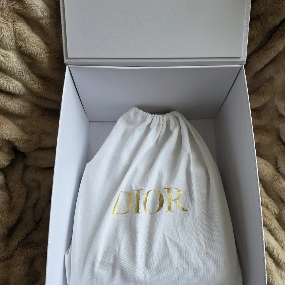 ✨Lady Dior x Andy Warhol Stiletto Motif – Christian Dior Collector Piece✨